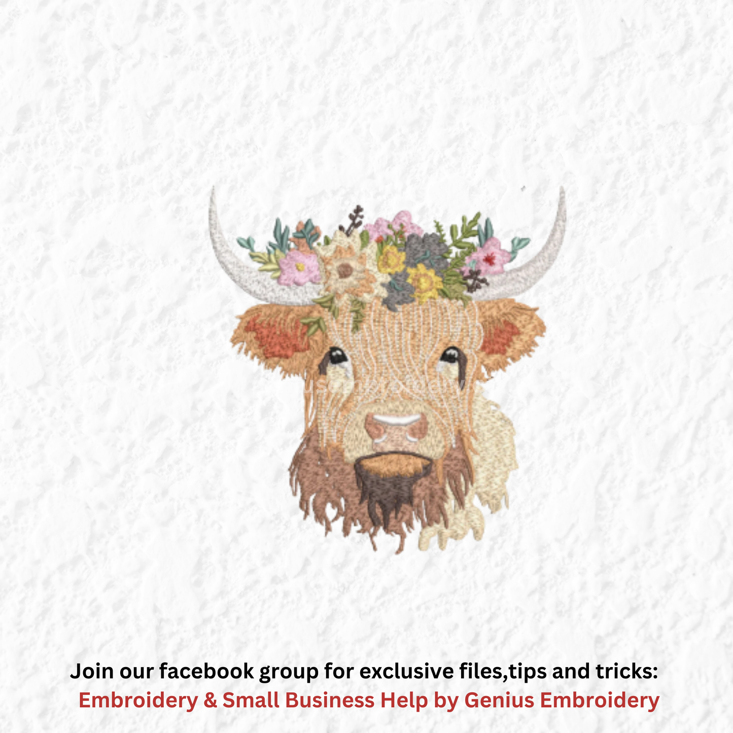 Highland Cow with Flowers