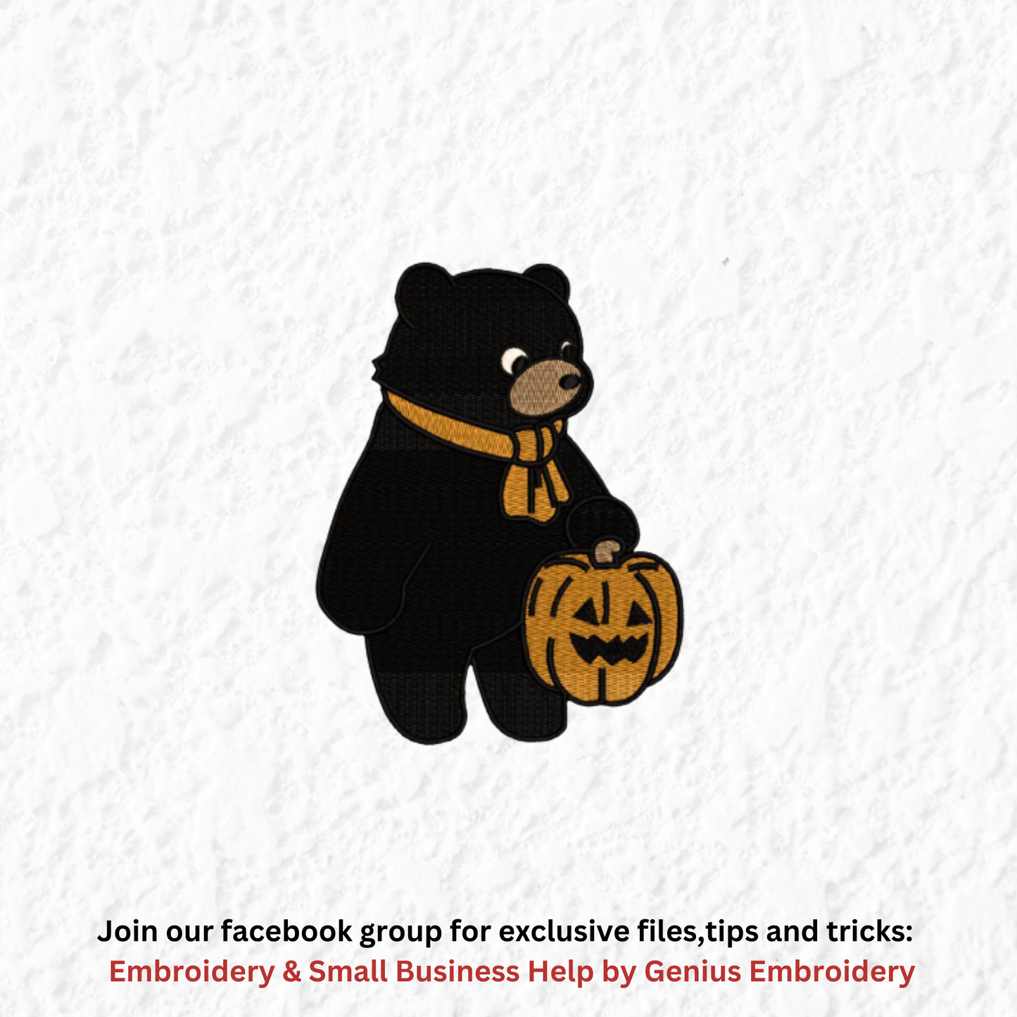 Black Bear with Pumpkin