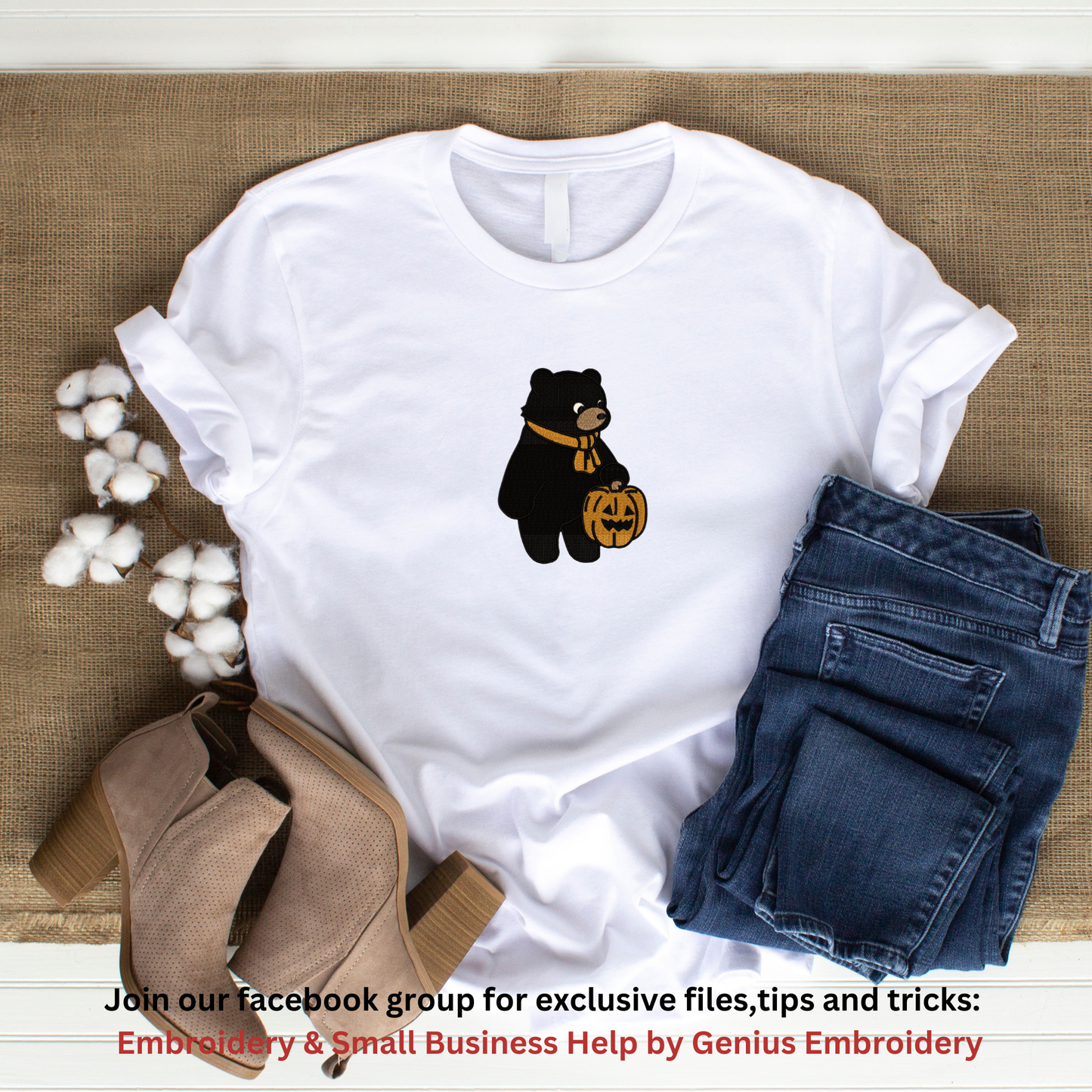 Black Bear with Pumpkin