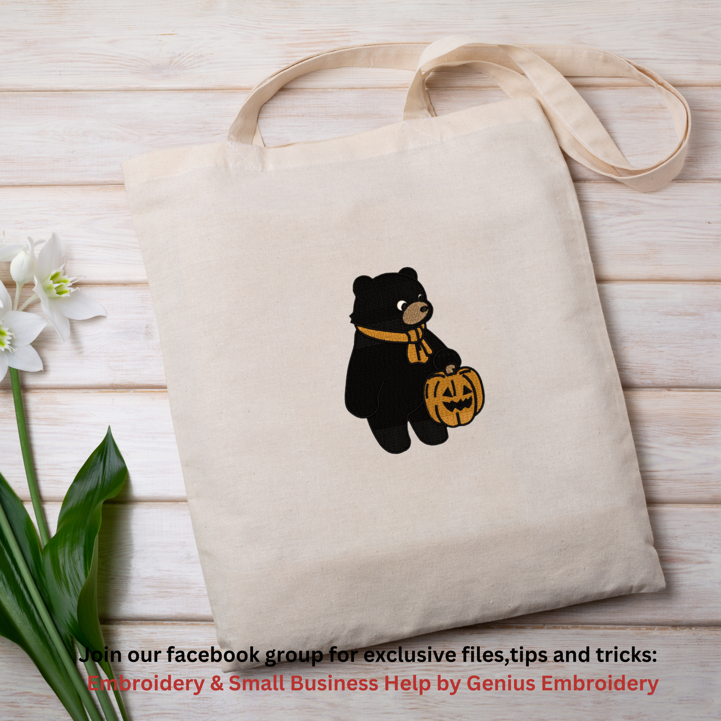 Black Bear with Pumpkin